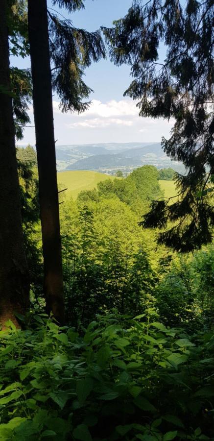 Gasthaus Sternen Post Оберрид Экстерьер фото